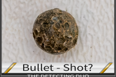Bullet 4