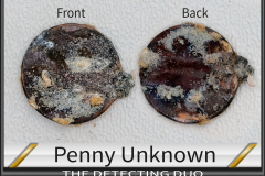 Penny Unknown 14