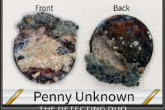 Penny Unknown 15a