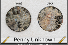 Penny Unknown 6