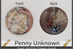 Penny Unknown 9