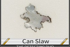 Can Slaw 2