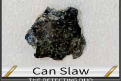 Can Slaw 1