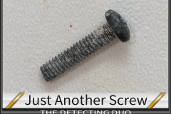 Screw