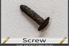 Screw Screw