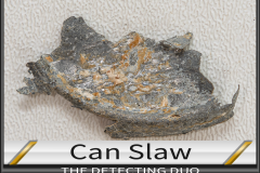 Can Slaw 2