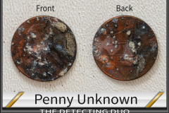 Penny Unknown 5