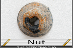 Nut