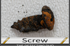Screw 2