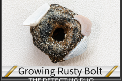 Growing Rusty Bolt Growing Rusty Bolt