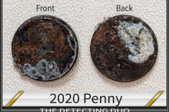 Penny 2020