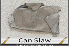 Can Slaw 10