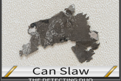 Can Slaw 11