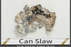 Can Slaw 1