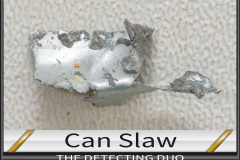 Can Slaw 1 07