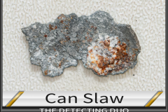Can Slaw 2