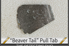 Beaver Tail