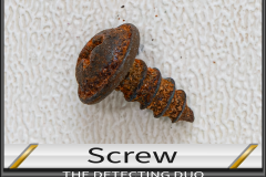 Screw