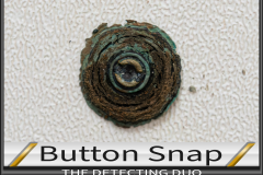 D3 Button Snap