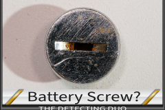 Battery Screw