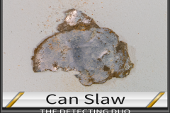 Can Slaw 2