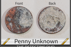 Penny Unknown 3