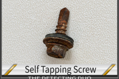 Self Tapping Screw
