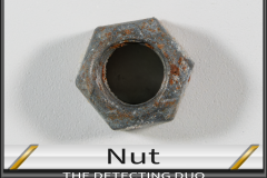 Nut