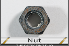 Nut