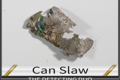 Can Slaw 2
