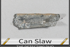 Can Slaw 2
