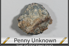 Penny Unknown