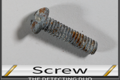 Screw