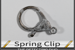 Spring Clip