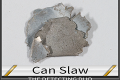 Can Slaw 5 Can Slaw 5