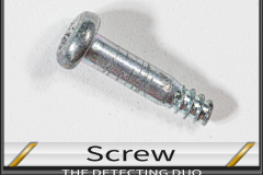 Screw