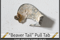 Pull Tab Beaver Tail 3