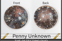 Penny Unknown Penny Unknown