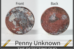 Penny Unknown