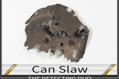 Can Slaw 3