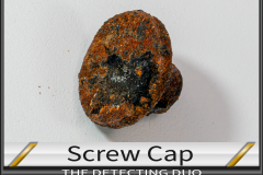 Screw Cap