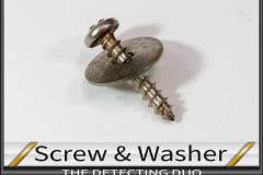 Screw Washer