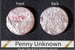 Penny Unknown 12