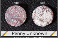 Penny Unknown 13