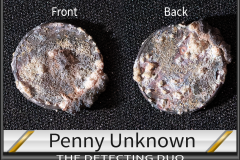 Penny Unknown 14