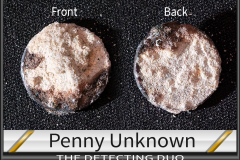 Penny Unknown 5