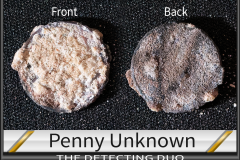 Penny Unknown 6