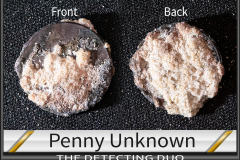 Penny Unknown 7