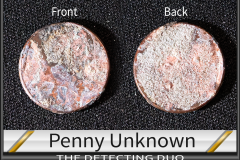 Penny Unknown 9