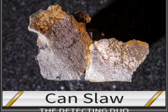 Can Slaw